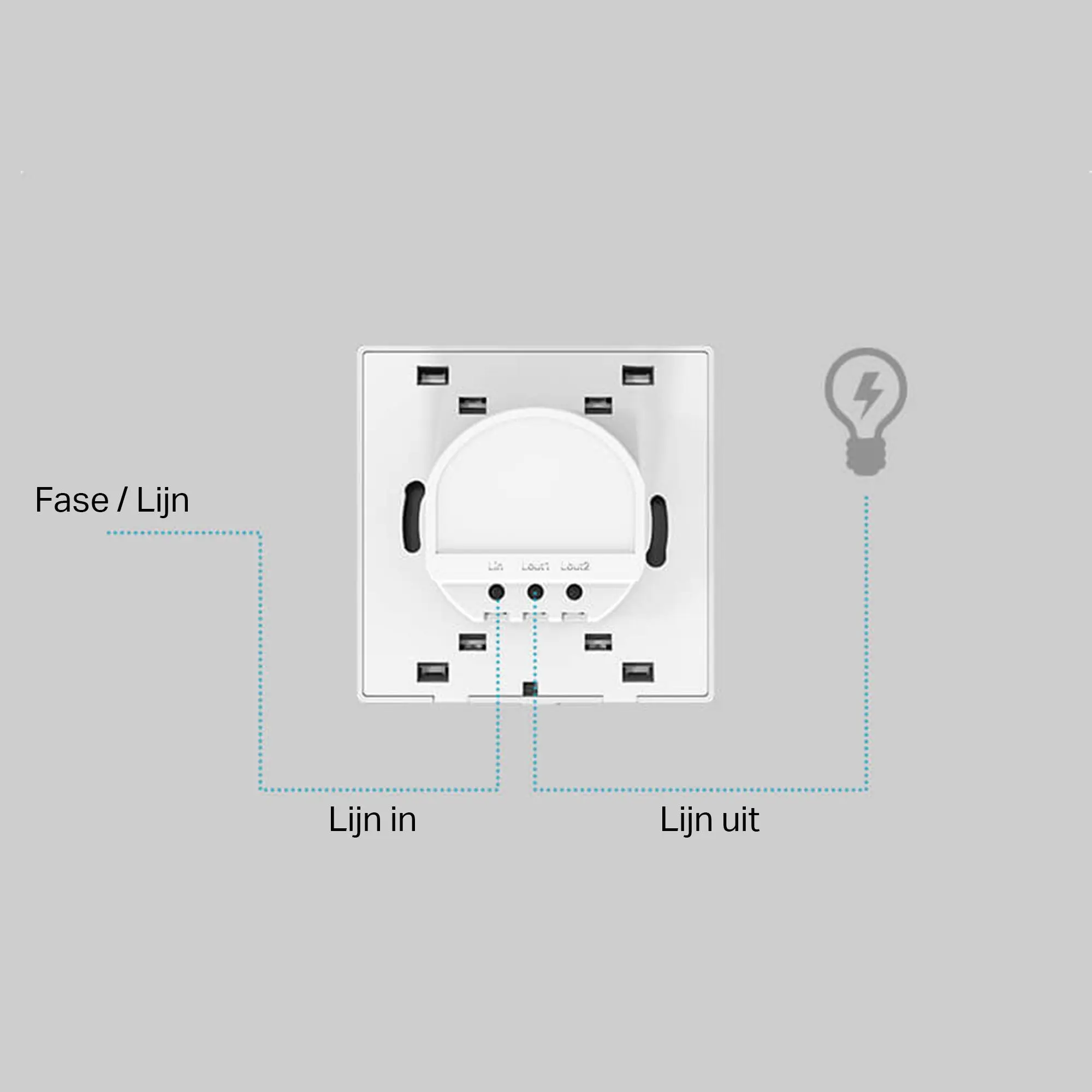Miniatuur 5
